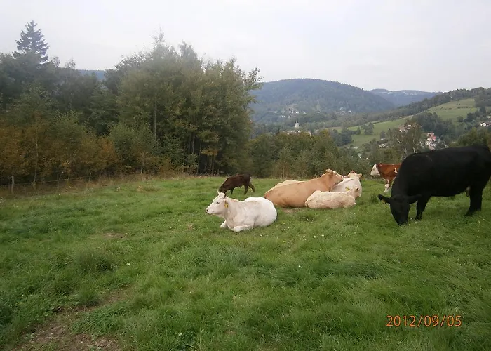 Panorama Vendégház